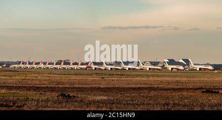 Jetstar and Qantas aircraft parked at Avalon Airport after being grounded during the COVID-19 (Coronavirus) outbrea Stock Photo