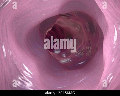 3d illustration of the inner side of the colon or intestinal tract Stock Photo