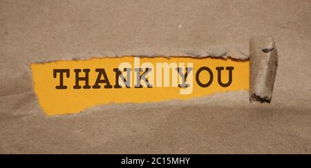 The text Thank You appearing behind torn brown paper Stock Photo