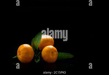 Fresh ripe mandarines. Selective focus. Shallow depth of field. Stock Photo