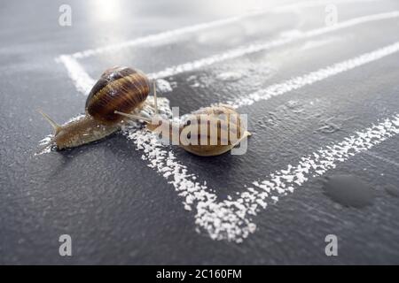 In spiral slow journey Stock Photo