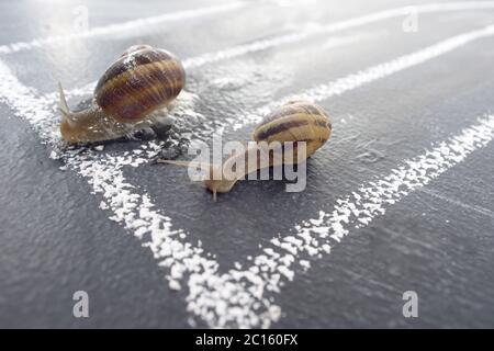 In spiral slow journey Stock Photo