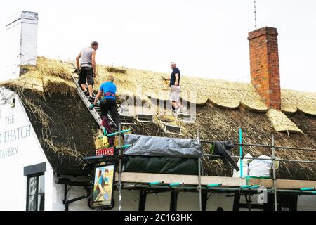 The Old Thatched Tavern in Stratford upon Avon being thatched. Stock Photo