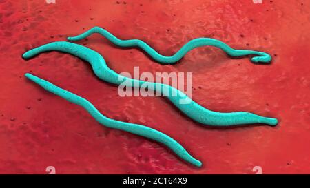 3d illustration of three blue colored lyme disease pathogens on red underground Stock Photo