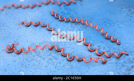 3d illustration of red blue colored lyme disease pathogens on blue underground Stock Photo