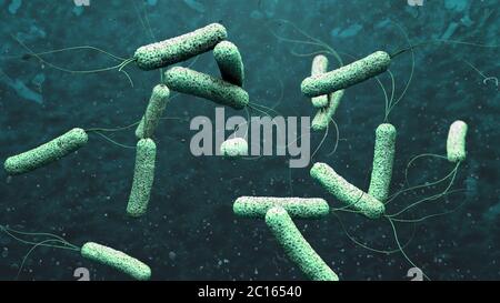 3d illustration of cholera pathogens in dark green water Stock Photo
