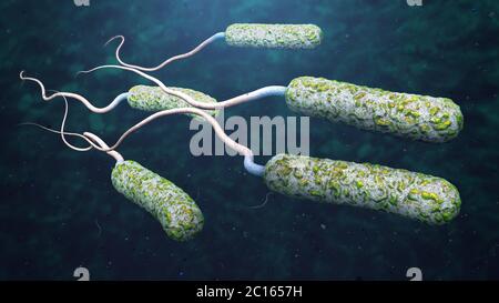 3d illustration of cholera pathogens in dark polluted water Stock Photo