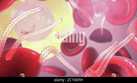 3d illustration of Ebola virus, causing viral hemorrhagic fever in the bloodstream with red and white blood cells Stock Photo