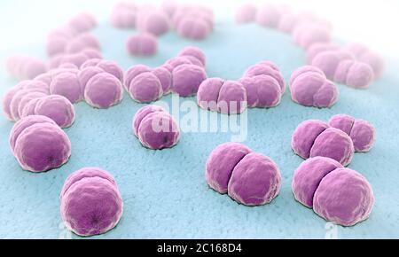 3d illustration of hundreds of meningitis pathogens called menigococcus Stock Photo