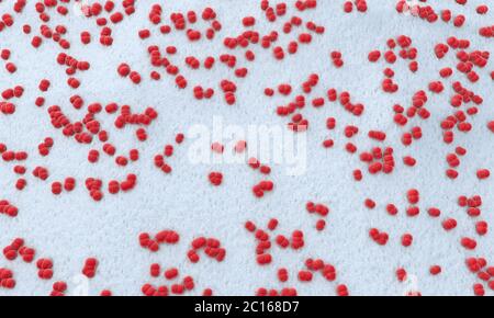 3d illustration of hundreds of meningitis pathogens called menigococcus Stock Photo