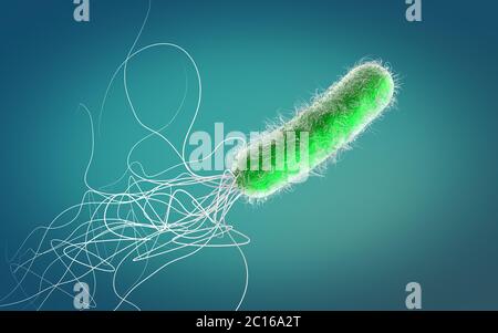 Single green colored multiple antibiotic resistant Pseudomonas aeruginosa bacterium - 3d illustration Stock Photo