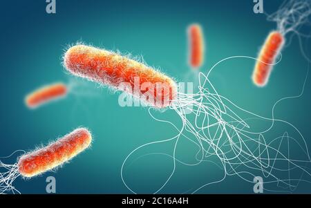 Red colored multiple antibiotic resistant Pseudomonas aeruginosa bacterium - 3d illustration Stock Photo