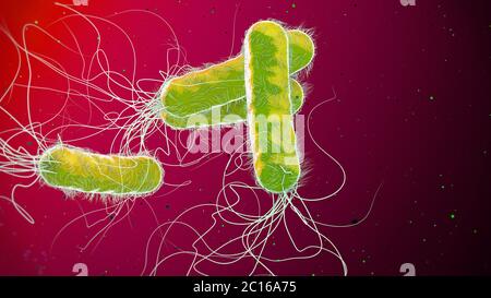 Green colored multiple antibiotic resistant Pseudomonas aeruginosa bacterium - 3d illustration Stock Photo