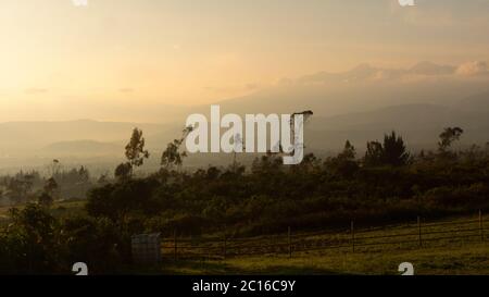 Panoramic view of the sunrise in the Ecuadorian highlands with the mountains among the clouds and in the foreground a row of trees Stock Photo
