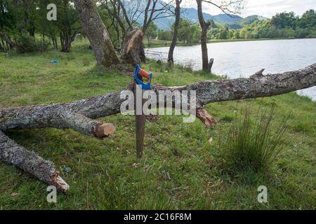 Loch Achray, Loch Lomond and Trossachs National Park, Scotland, UK. 14th June, 2020. Pictured: The banks of Loch Achray are strewn with dumped rubbish such as plastic bags, empty beer cans, camping attire and remnants of drugs use. Loch Achray is on the Heart 200 Route, however it has been closed during the Coronavirus (COVID19) lockdown. The lockdown has not stopped people camping illegaly however and also illegally leaving their litter left which poses a risk to the local wildlife. Credit: Colin Fisher/Alamy Live News Stock Photo