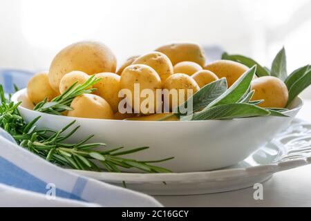 Biological new potatoes. Healthy ingredients for homemade cooking Stock Photo
