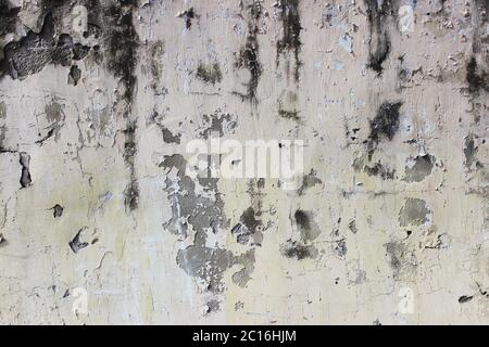 old beige wall with peeling plaster for background Stock Photo