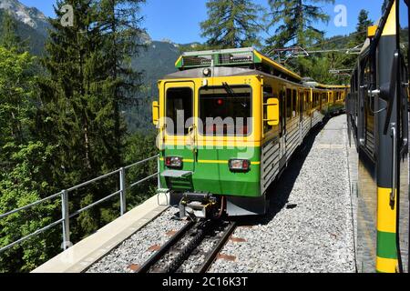 Yellow and green train - Bernese Highlands Railway, from Lauterbrunnen village to Grindelwald , Jungfrau region, Bernese Oberland, Switzerland Stock Photo