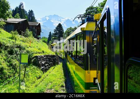 Yellow and green train - Bernese Highlands Railway, from Lauterbrunnen village to Grindelwald , Jungfrau region, Bernese Oberland, Switzerland Stock Photo