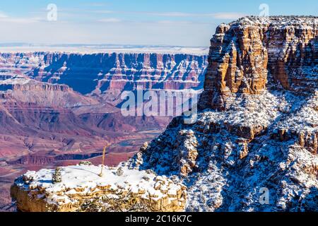 Grand Canyon in winter. View of snow covered mesa with small trees and solitary yucca plant. Rocky Butte on right. Red rock and  Colorado river below Stock Photo
