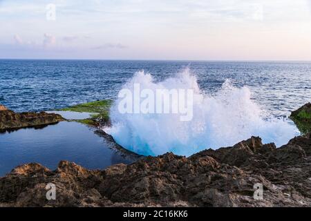 Closeup of dead tree on island of Nusa Penida, Bali, Indonesia. Weathered surface with cracks and hollows. Whirled patter of small knots visible. Stock Photo