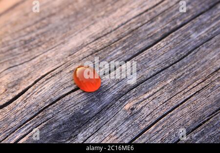 One isolated red orange chalcedony agate gemstone on wooden background shining in the sunlight. Chalcedony gems come in a variety of different colors