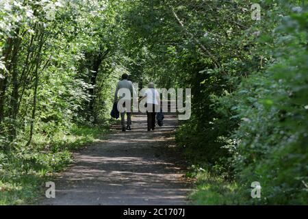 an older couple walking away hand in hand along a path under a canopy of green leaves creating a tunnel Stock Photo