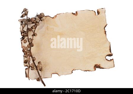 Old dirty torn rag isolated on white background. Cleaning rag Stock Photo -  Alamy