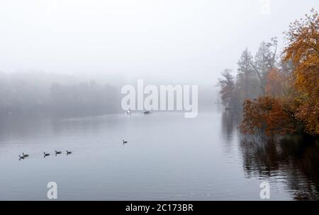 Dreamy autumn morning on the lake at Princeton, NJ Stock Photo