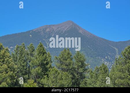 The view of Mount Humphreys and its Agassiz Peak. One of the San Francisco Peaks in the Arizona Pine Forest. Near Flagstaff, Coconino County, Arizona Stock Photo