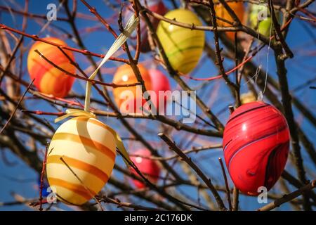 Easter Eggs on a tree Stock Photo