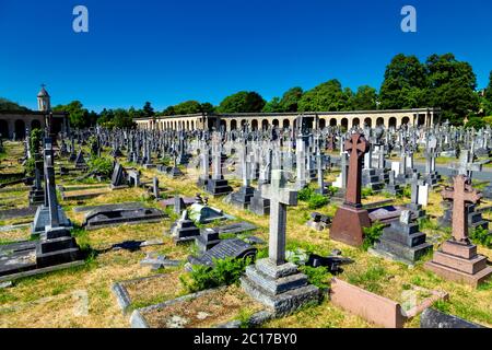 Brompton Cemetery, London, UK Stock Photo