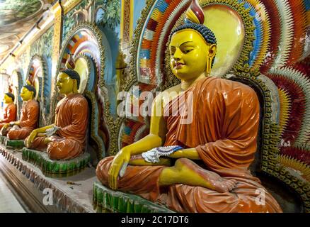 A row of seated Buddha statues inside the Angurukaramulla Temple at Negombo in Sri Lanka. The temple is believed to be over 300 years old. Stock Photo