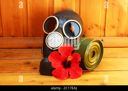 black old gas mask and red flower hibiscus on a wooden background. Stock Photo