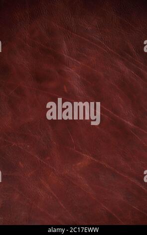 leather sheet and scratched. Stock Photo