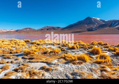 The Laguna Colorada or Red Lagoon in winter in the high altitude altiplano of the Uyuni Salt Flat Desert, Bolivia. Stock Photo