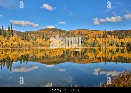 Panoramic view of a clear lake with reflections in fall, Chena River State Park, Alaska Stock Photo
