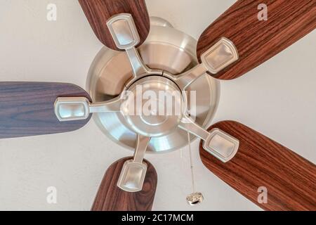 Ceiling fan with wooden blades and lights mounted on the ceiling of a home Stock Photo