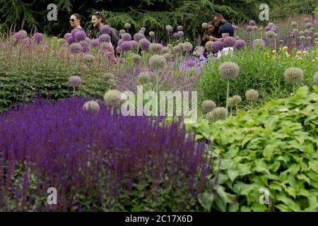 London, Britain. 14th June, 2020. People enjoy the flowers at Kew Gardens in London, Britain, on June 14, 2020. The Kew Gardens, a UNESCO World Heritage Site in London, reopened to public recently after being closed due to the COVID-19 pandemic, but social distancing guidelines are still in place and the number of visitors is limited with admittance only by pre-booked tickets. Credit: Tim Ireland/Xinhua/Alamy Live News Stock Photo