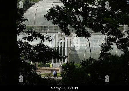 London, Britain. 14th June, 2020. People walk past a glasshouse at Kew Gardens in London, Britain, on June 14, 2020. The Kew Gardens, a UNESCO World Heritage Site in London, reopened to public recently after being closed due to the COVID-19 pandemic, but social distancing guidelines are still in place and the number of visitors is limited with admittance only by pre-booked tickets. Credit: Tim Ireland/Xinhua/Alamy Live News Stock Photo