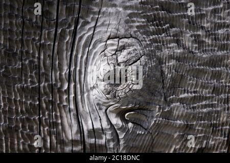 High resolution wooden texture wooden grey brown black white lines branch Stock Photo