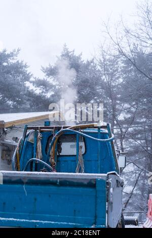 Blue truck parks in a white winter forest full of snow. Stock Photo