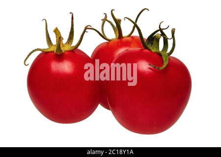 Group of tomatoes isolated on a white background Stock Photo