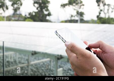 hand with mobile phone outdoors Stock Photo