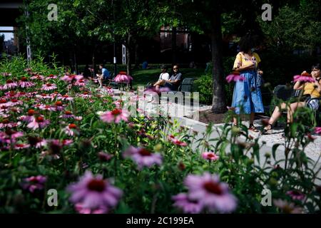 Washington, DC, USA. 14th June, 2020. People lounge at Georgetown Waterfront Park in Washington, DC, the United States, on June 14, 2020. Credit: Ting Shen/Xinhua/Alamy Live News Stock Photo
