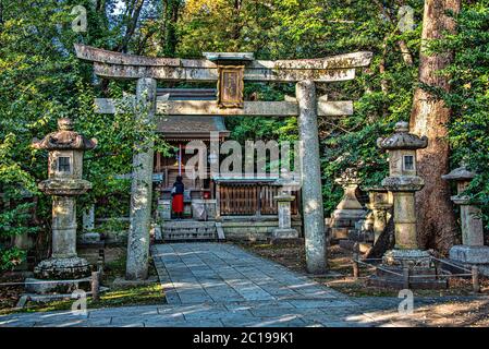 Torii and stone lanterns in Kitano Tenmangu shinto shrine, Kyoto, Japan Stock Photo