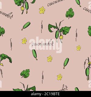 seamless pattern cucumber on a branch, hand-drawing, doodle style Stock Vector