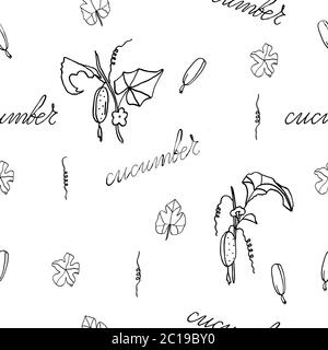 seamless pattern cucumber on a branch, hand-drawing, doodle style Stock Vector