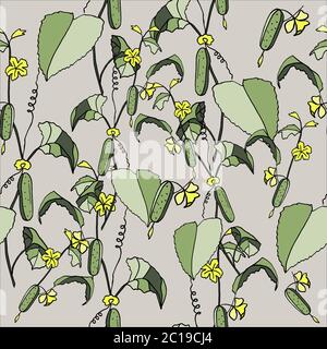 seamless pattern cucumber on a branch, hand-drawing, doodle style Stock Vector