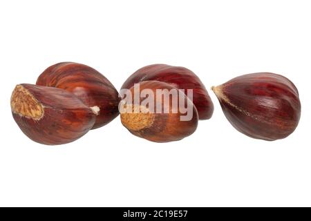 Edible chestnuts isolated on a white background Stock Photo